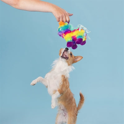 Bark Full O Fluff Pinata Birthday Pluche 22X13X23 Cm