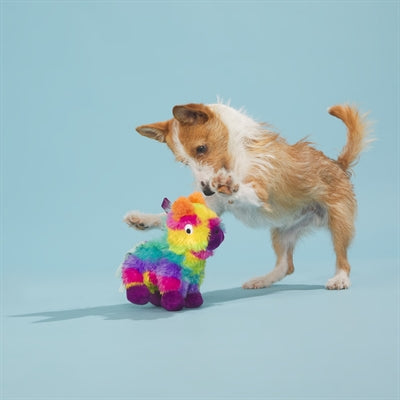 Bark Full O Fluff Pinata Birthday Pluche 22X13X23 Cm