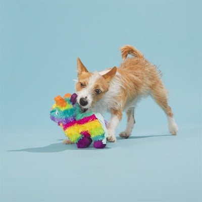 Bark Full O Fluff Pinata Birthday Pluche 22X13X23 Cm