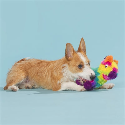 Bark Full O Fluff Pinata Birthday Pluche 22X13X23 Cm