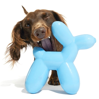 Bark Bob The Balloon Birthday Super Chewer 19X8X17 Cm