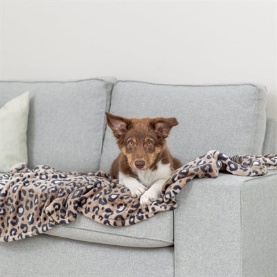 Trixie Hondendeken Leo Softpluche Panterprint Bruin 100X70 Cm