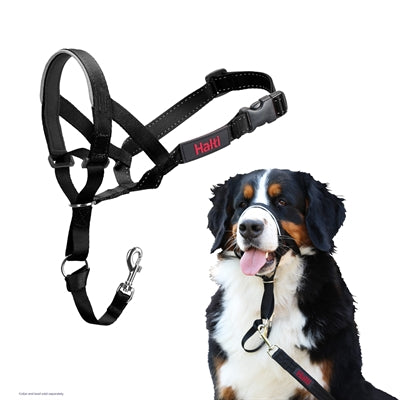 The Company Of Animals Company Of Animals Halti Headcollar Zwart Nr 3