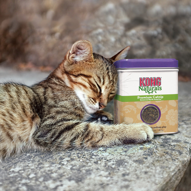 Kong Kat Catnip Navulling 30 Gr