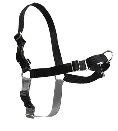 Petsafe Easy Walk Anti-Trek Tuig Zwart M
