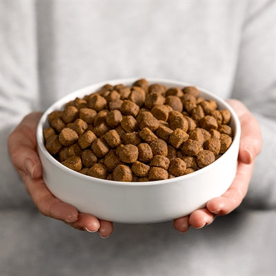 Smolke Hond Adult Kip / Lam / Vis Graanvrij 12 Kg