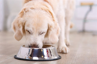 Happy Pet Voerbak Antislip 14 Cm
