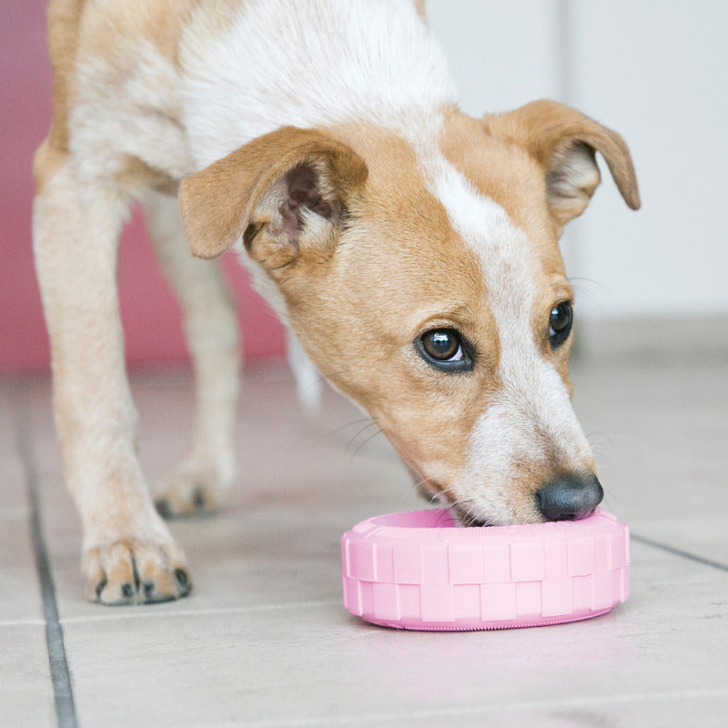 Kong Puppy Tires Assorti 11,5X11,5X4 Cm