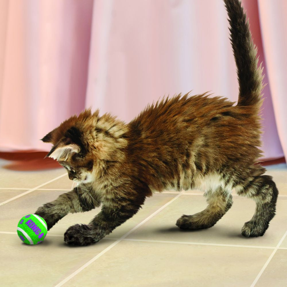Kong Kat Tennisballen Met Bellen 4X4X4 Cm 3 St