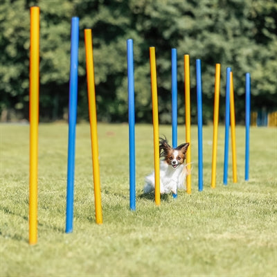 Trixie Dog Activity Agility Slalom Stokken Blauw / Oranje 115X3 Cm 12 St