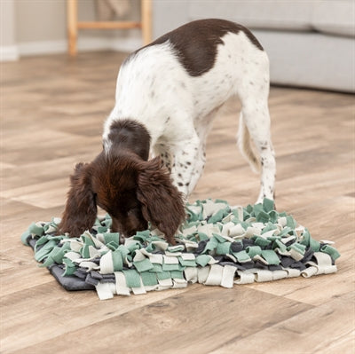 Trixie Activity Snuffelmat 50X34 Cm