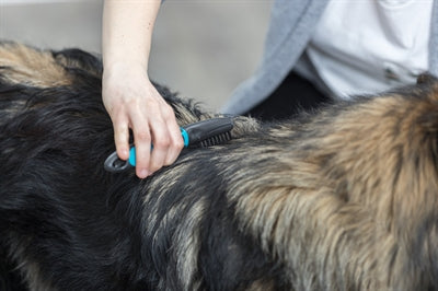 Trixie Vacht Ontvilter Gebogen Tanden 18 Cm