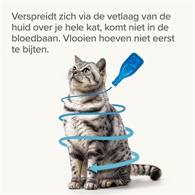 Beaphar Fiprotec Kat Tegen Vlooien & Teken 3+1 Pipet >1 Kg En 8 Weken