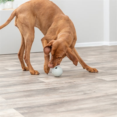 Trixie Snackbal Rubber Grijs 9 Cm