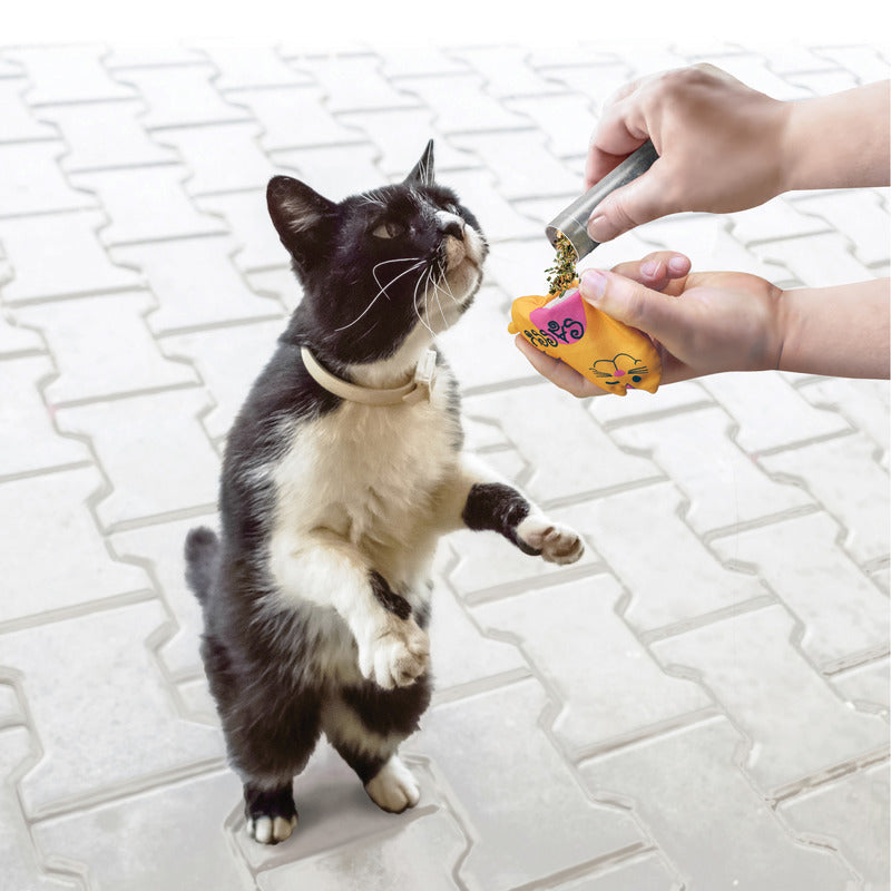 Kong Refillables Catnip Kattenkruid Buisjes 3 St