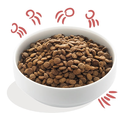 Edgard & Cooper Senior Verse Scharrelkip / Noorse Zalm Graanvrij 7 Kg