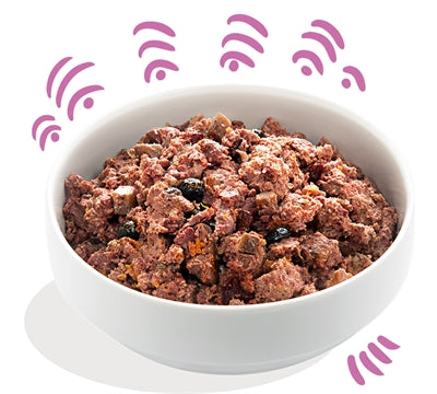 Edgard & Cooper Wild / Eend Blik Graanvrij 6X400 Gr