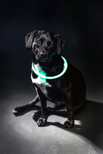 Trixie Lichtgevende Halsband Usb Flash Light Oplaadbaar Tpu Groen 40X0,8 Cm