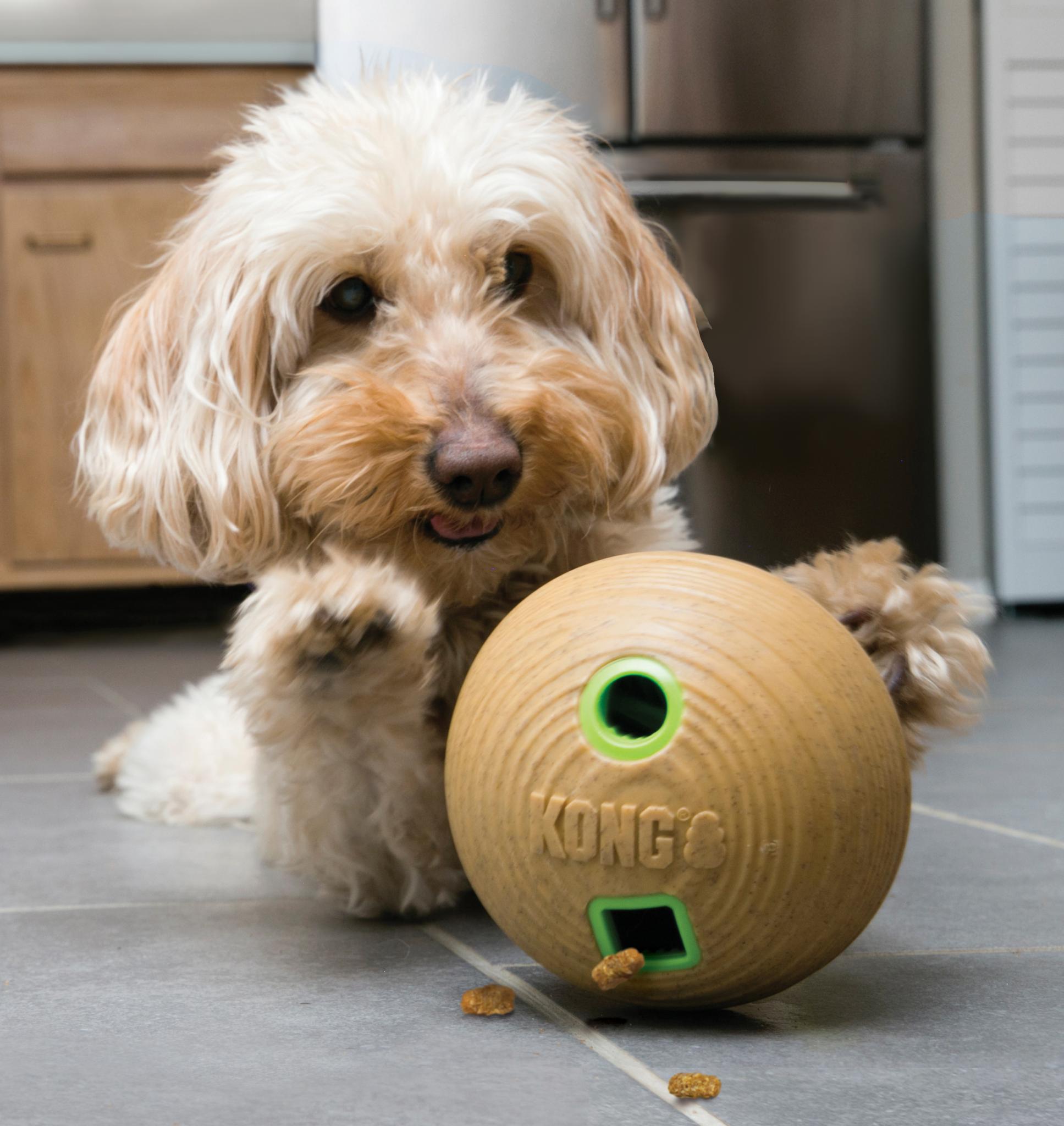 Kong Bamboo Feeder Bal Voerbal 12X12X12 Cm