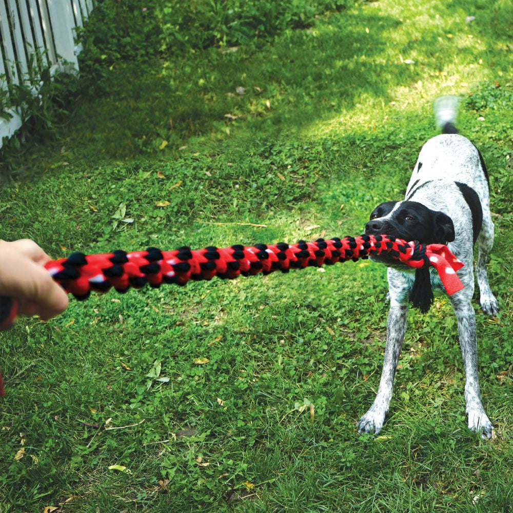 Kong Signature Rope Dual Knot 57X14X5 Cm