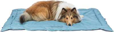 Trixie Reisdeken Samoa Classic Beige / Olijfgroen 85X70 Cm