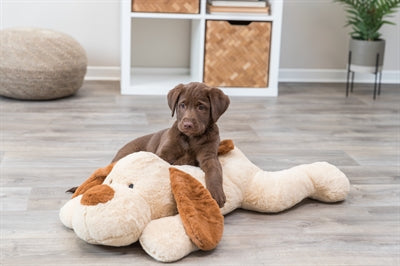 Trixie Knuffel Hondbenny Pluche Beige / Bruin 75 Cm