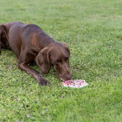Trixie Lick'n'snack Mat Met Zuignappen Siliconen Salie 17 Cm