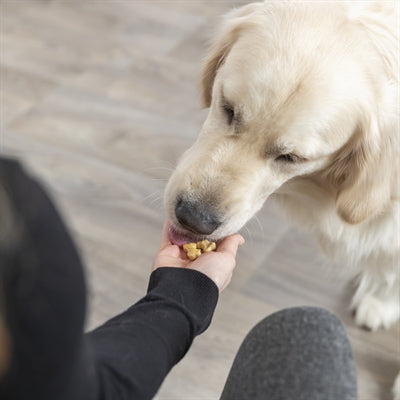 Trixie Bakmat Met Botjes Voor Hond Silicone 38X28 Cm