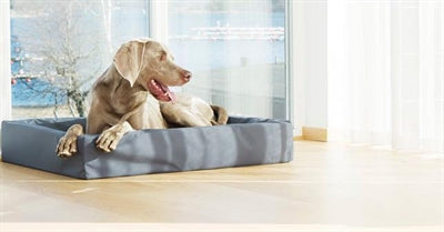 Bia Bed Kunstleer Hoes Hondenmand Grijs Bia-7 120X100X15 Cm