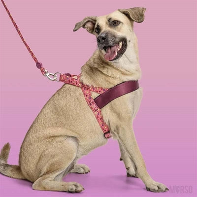 Morso Norwegian Hondentuig Gerecycled Pink Think Roze 39-48X35 Cm