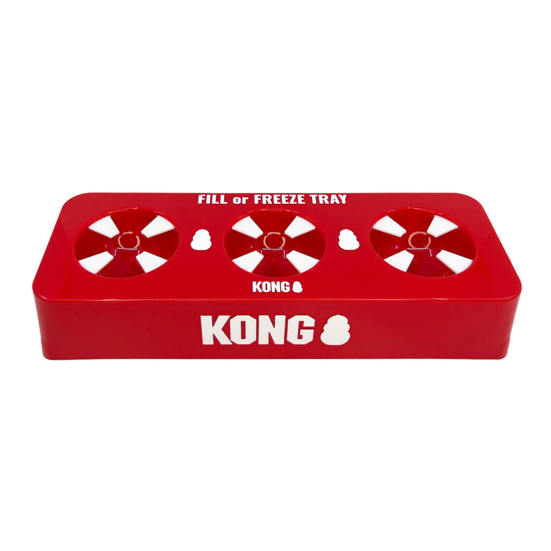 Kong Fill / Freeze Tray Silicone 35X13,5X7 Cm