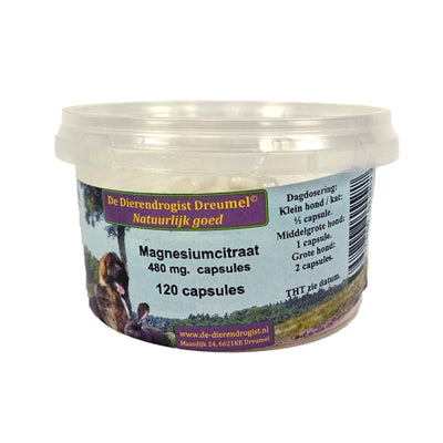 Dierendrogist Magnesium Citraat Capsules 480Mg 60 St
