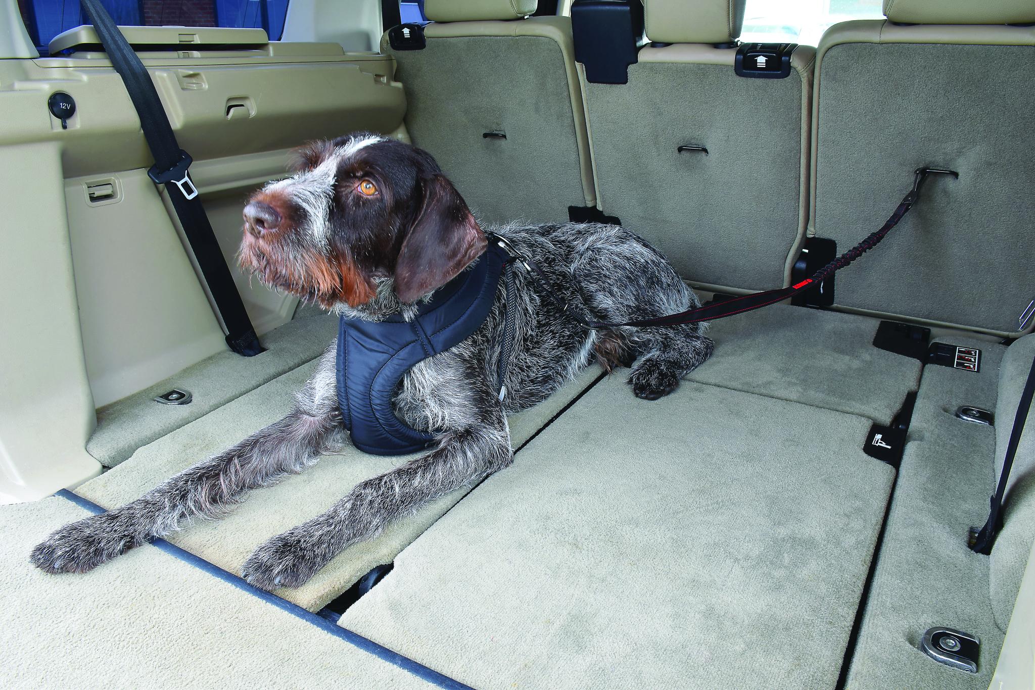 Kong Autogordel Hond Cargo Swivel 11X3,1X29 Cm