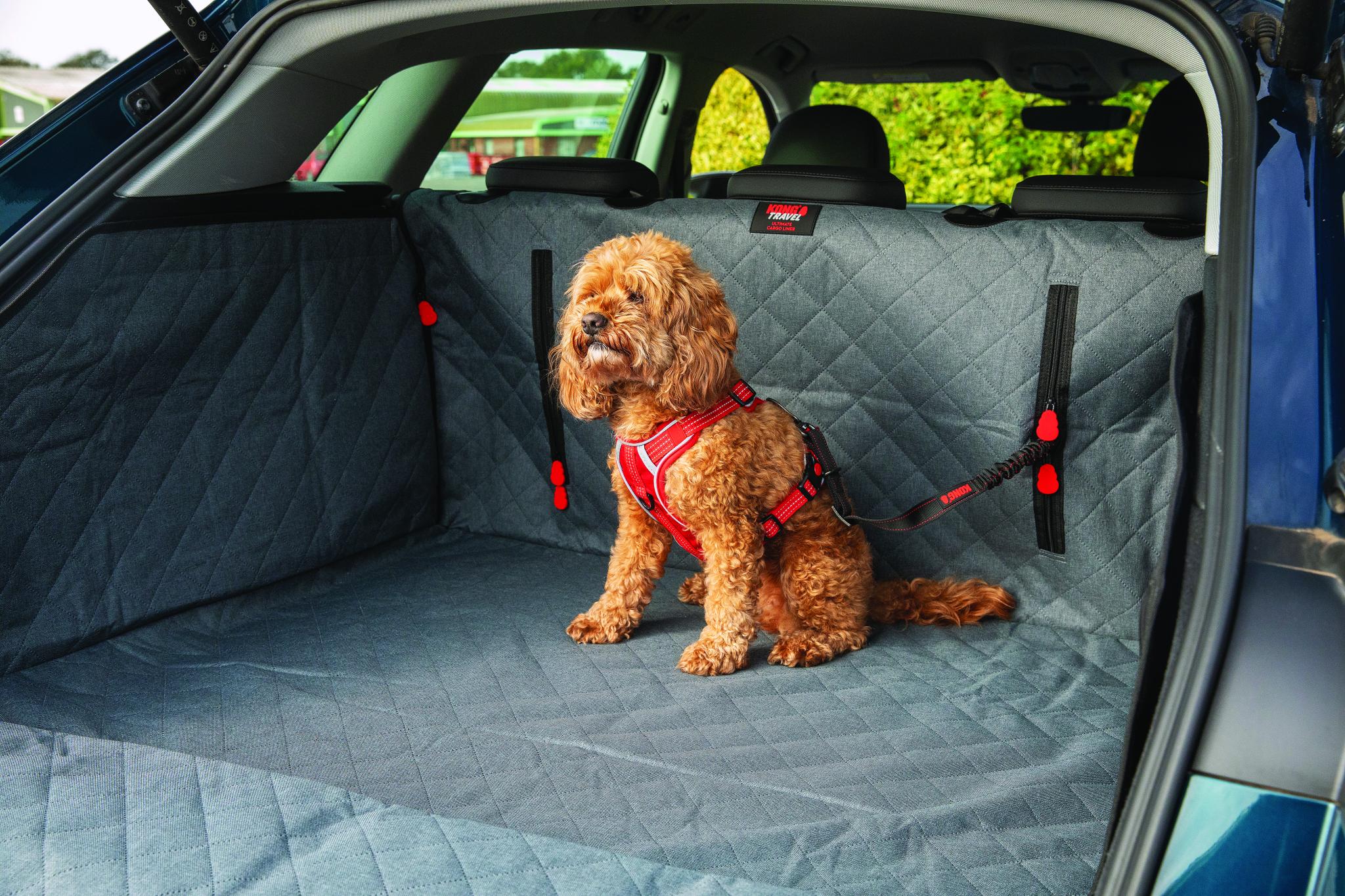 Kong Autogordel Hond Cargo Swivel 11X3,1X29 Cm