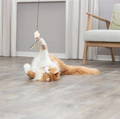 Trixie Kattenhengel Ster Kunststof / Pluche Met Catnip 46 Cm