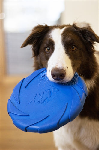 Battersea Foam Flyer Blauw 24X24 Cm