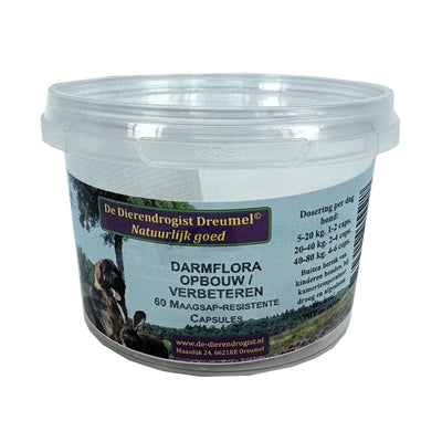 Dierendrogist Darmflora Opbouw / Verbeterend Capsules 60 St