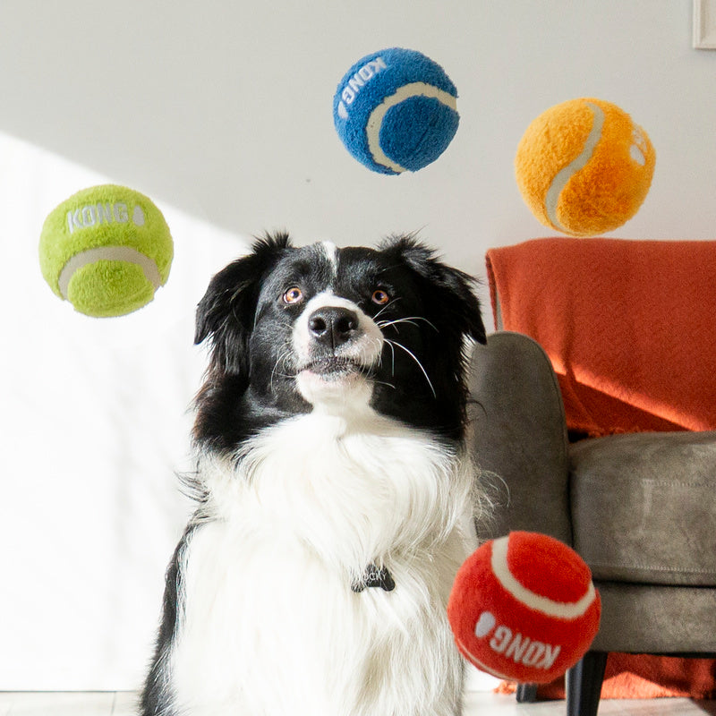 Kong Sport Softies Bal