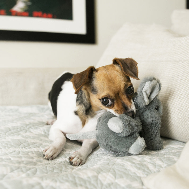 Kong Comfort Kiddos Olifant Grijs