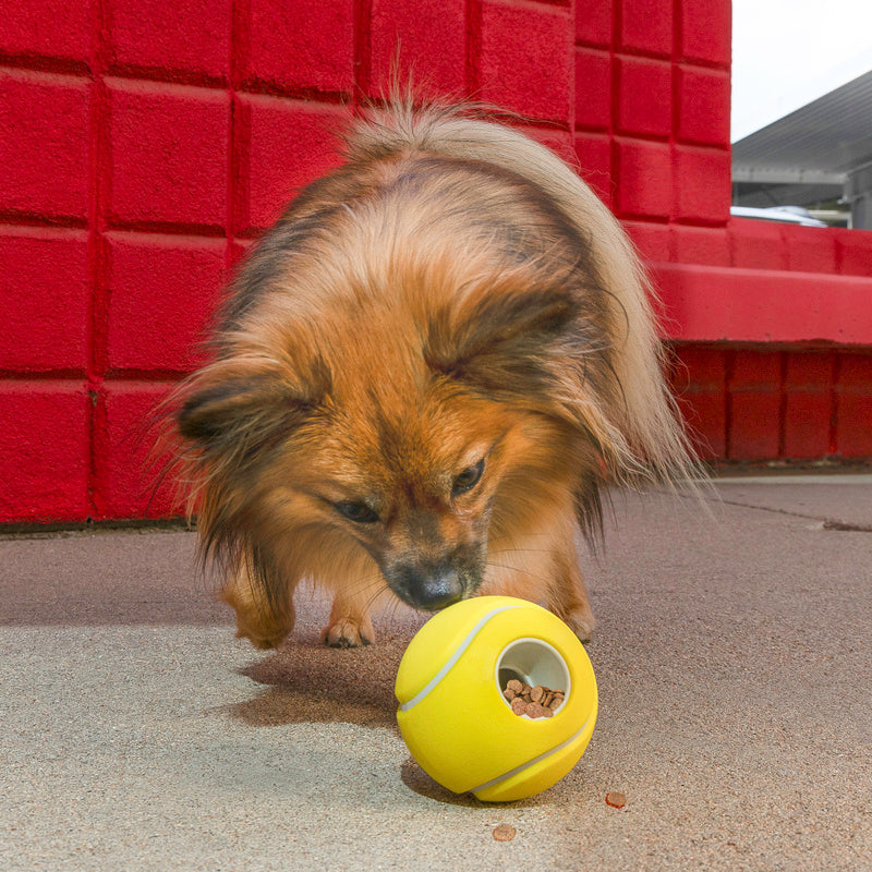 Kong Rewards Tennisbal
