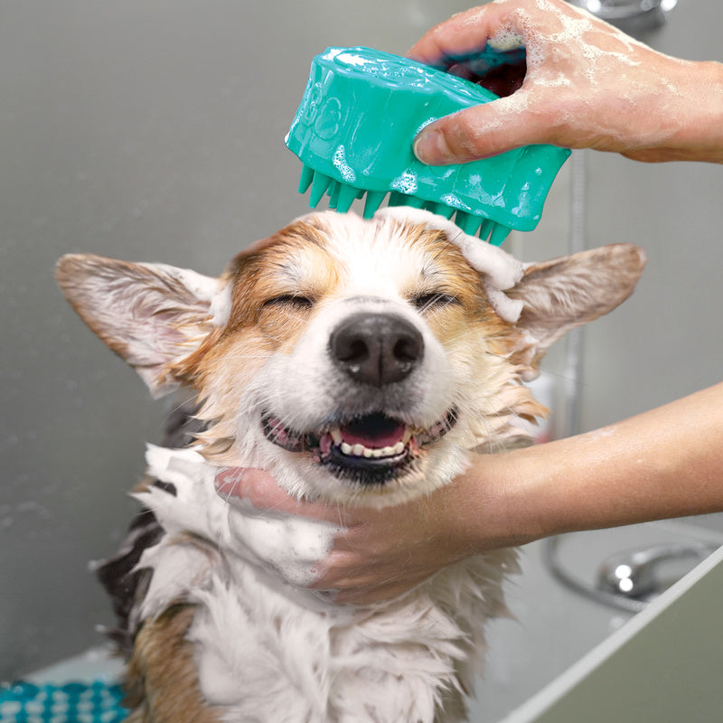 Kong Zoomgroom Bubbles 7X7X11,5 Cm