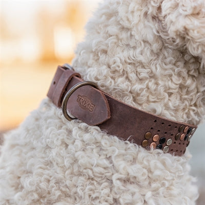 Trixie Halsband Hond Rivet Rustic Vetleer Donkerbruin S-M 34-40X3 Cm