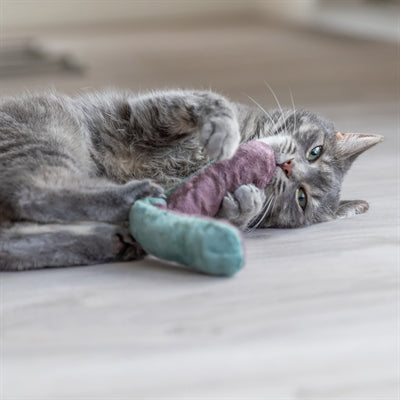 Trixie Speelkussen Rol Met Catnip Assorti 26X4 Cm