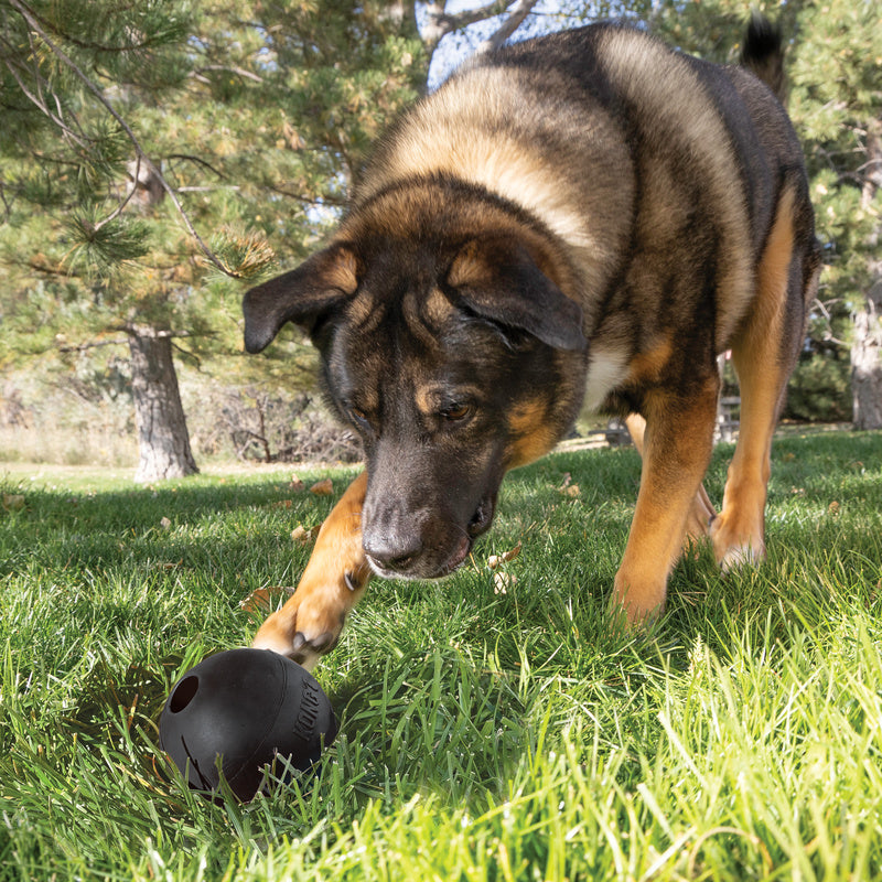 Kong Extreme Bal Met Gat Zwart 9X9X9 Cm