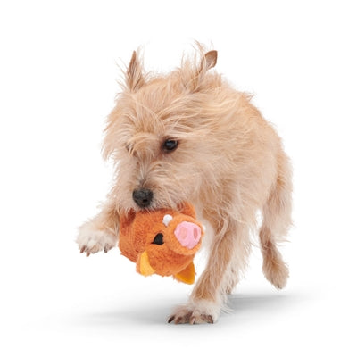 Bark Beau The Boar Wild Zwijn Pluche Bruin 21,5X18X9 Cm Tot 20 Kg
