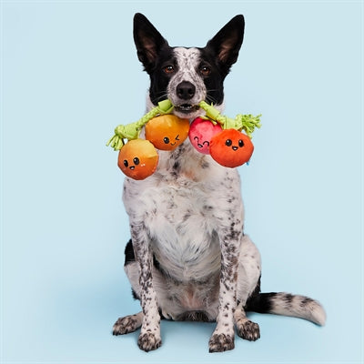 Bark Hairloom Tomaten Aan Flostouw Pluche 31X9X6 Cm Tot 20 Kg