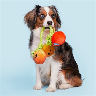 Bark Hairloom Tomaten Aan Flostouw Pluche 31X9X6 Cm Tot 20 Kg