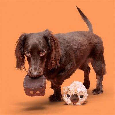 Bark Walken Wombat Pluche Oranje 22X15X8 Cm Tot 20 Kg