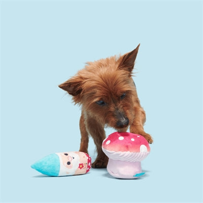 Bark Fun Guy Gnomie Homie Kabouter In Paddenstoel Pluche 2 In 1 22X14,5X10 Cm Tot 10 Kg