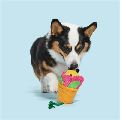 Bark Pollen Nate Bij In Bloempot Pluche Met Flostouw 32X15X8 Cm Tot 10 Kg
